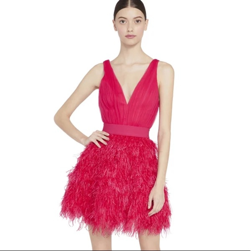 ALICE + OLIVIA Tehran Feather Party Mini Dress - Picture 9 of 16